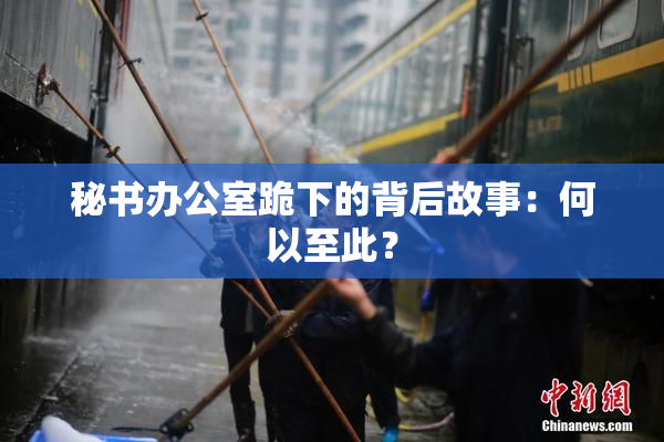 秘书办公室跪下的背后故事：何以至此？