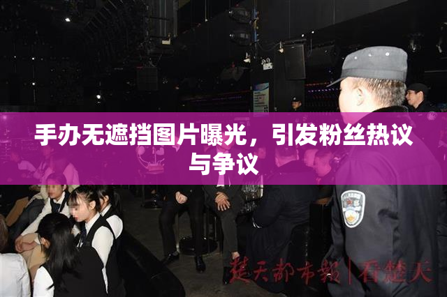 手办无遮挡图片曝光，引发粉丝热议与争议
