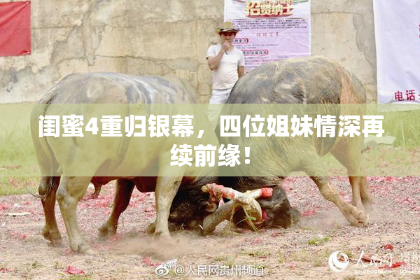 闺蜜4重归银幕，四位姐妹情深再续前缘！