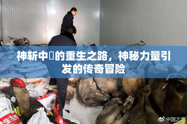 神斩中婬的重生之路，神秘力量引发的传奇冒险