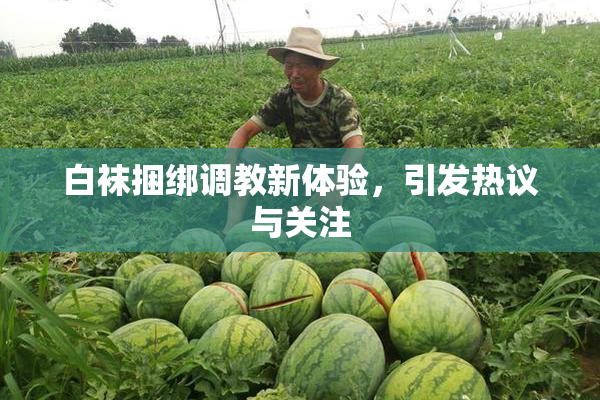 白袜捆绑调教新体验，引发热议与关注