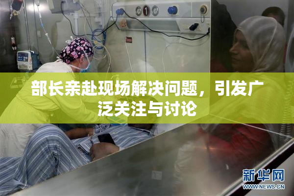 部长亲赴现场解决问题，引发广泛关注与讨论