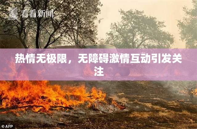 热情无极限，无障碍激情互动引发关注
