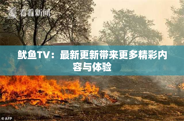 鱿鱼TV：最新更新带来更多精彩内容与体验