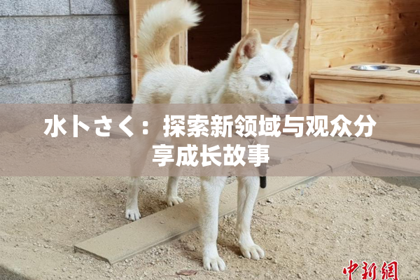 水卜さく：探索新领域与观众分享成长故事
