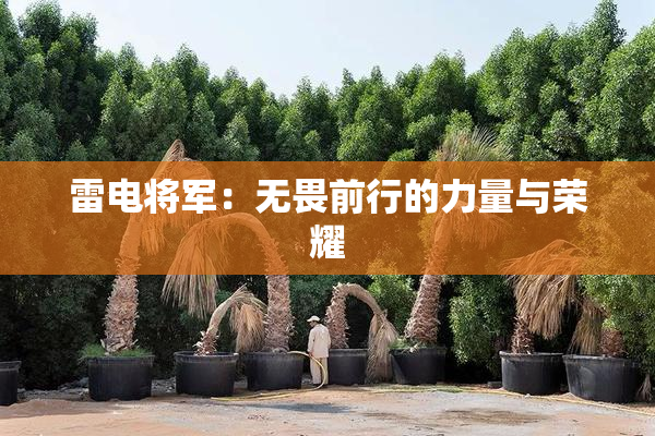 雷电将军：无畏前行的力量与荣耀