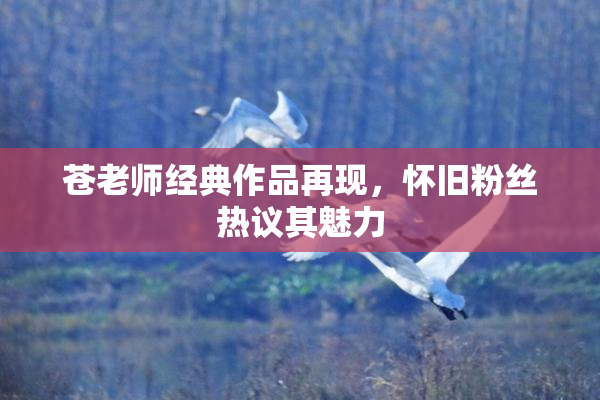 苍老师经典作品再现，怀旧粉丝热议其魅力