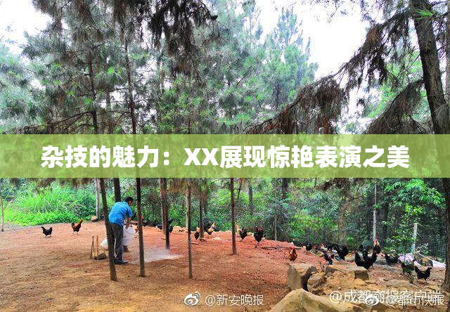 杂技的魅力：XX展现惊艳表演之美
