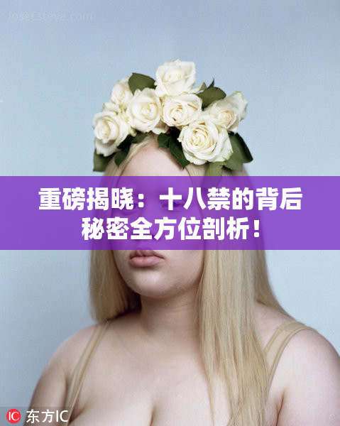 重磅揭晓：十八禁的背后秘密全方位剖析！