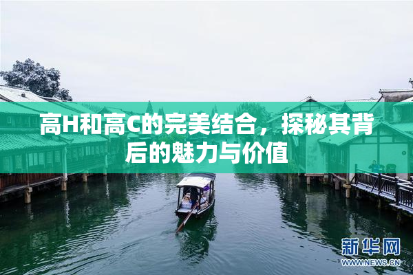 高H和高C的完美结合，探秘其背后的魅力与价值