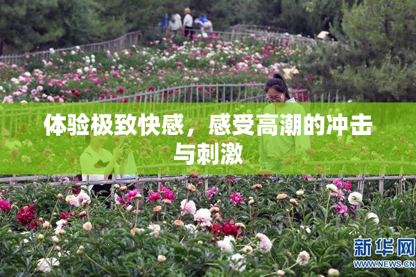 体验极致快感，感受高潮的冲击与刺激