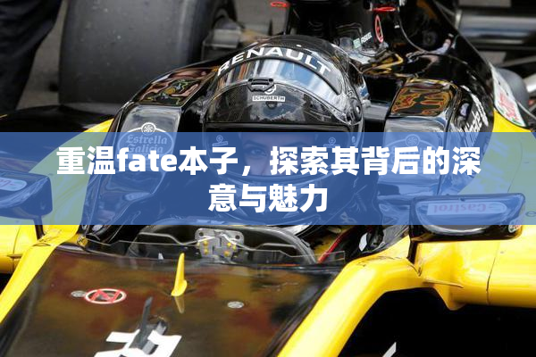 重温fate本子，探索其背后的深意与魅力