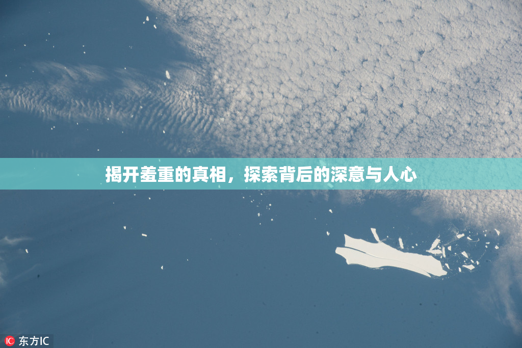 揭开羞重的真相，探索背后的深意与人心