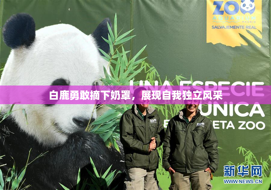 白鹿勇敢摘下奶罩，展现自我独立风采