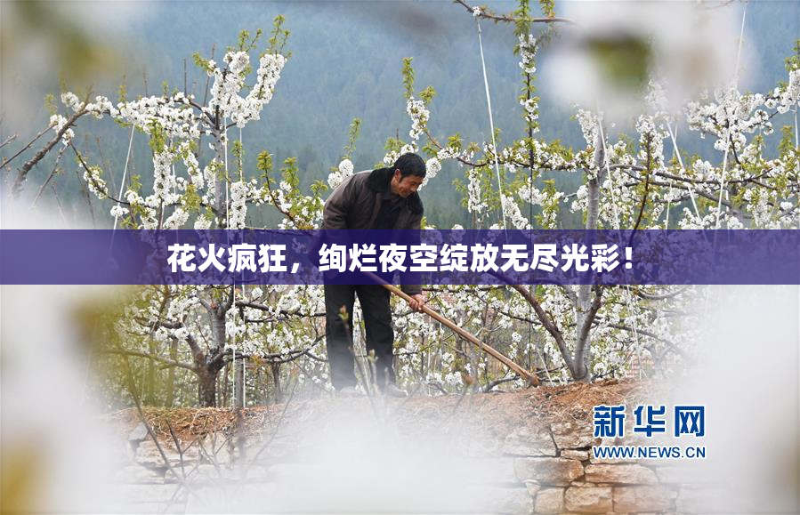 花火疯狂，绚烂夜空绽放无尽光彩！