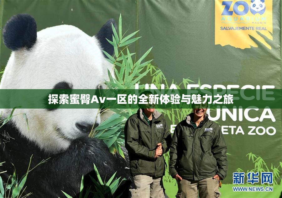 探索蜜臀Av一区的全新体验与魅力之旅