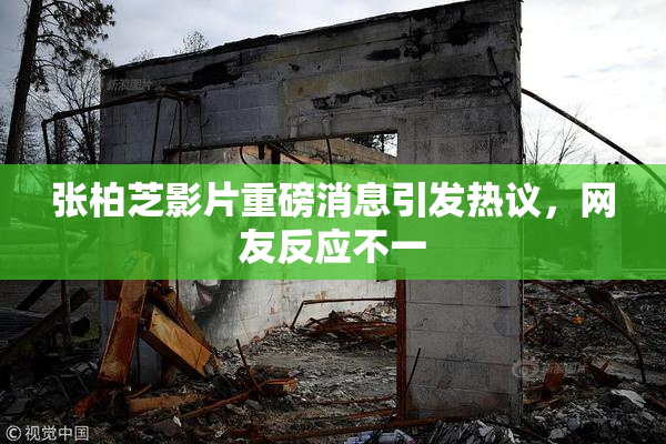 张柏芝影片重磅消息引发热议，网友反应不一