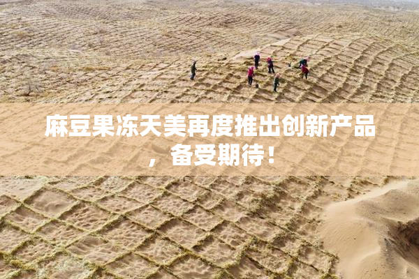 麻豆果冻天美再度推出创新产品，备受期待！