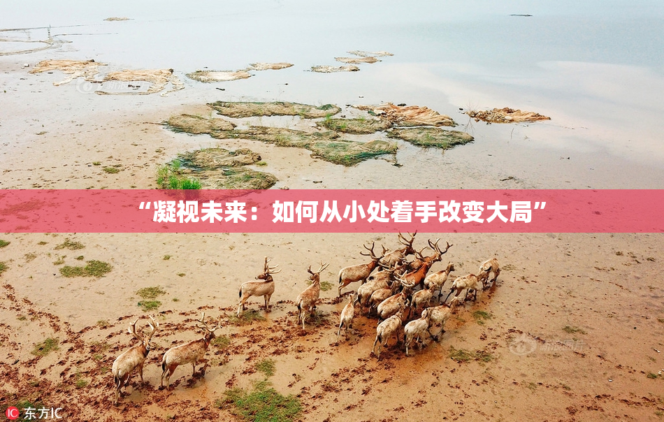 “凝视未来：如何从小处着手改变大局”