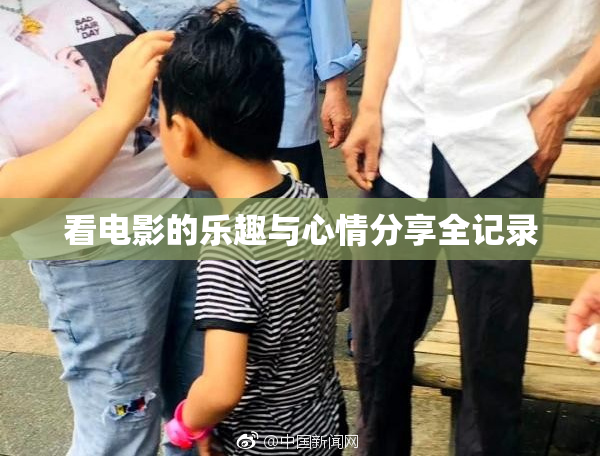 看电影的乐趣与心情分享全记录
