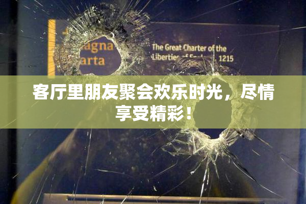 客厅里朋友聚会欢乐时光，尽情享受精彩！