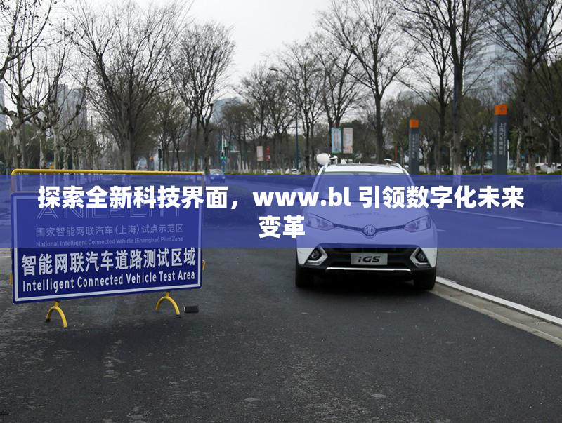 探索全新科技界面，www.bl 引领数字化未来变革