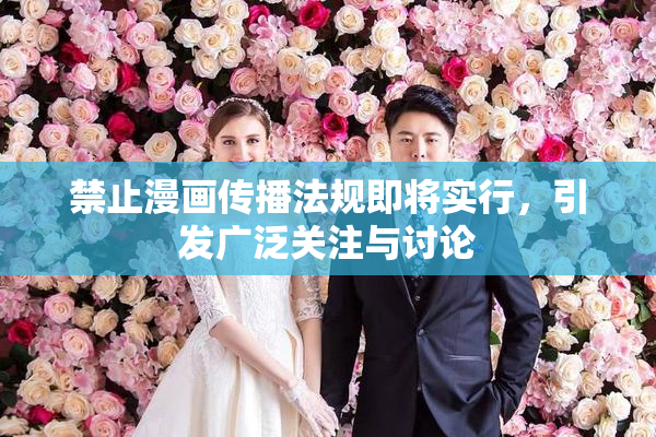 禁止漫画传播法规即将实行，引发广泛关注与讨论