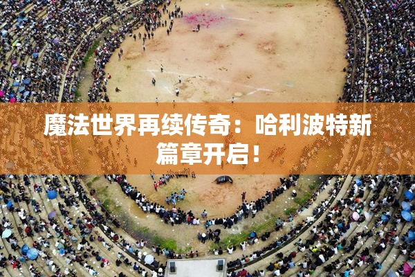 魔法世界再续传奇：哈利波特新篇章开启！