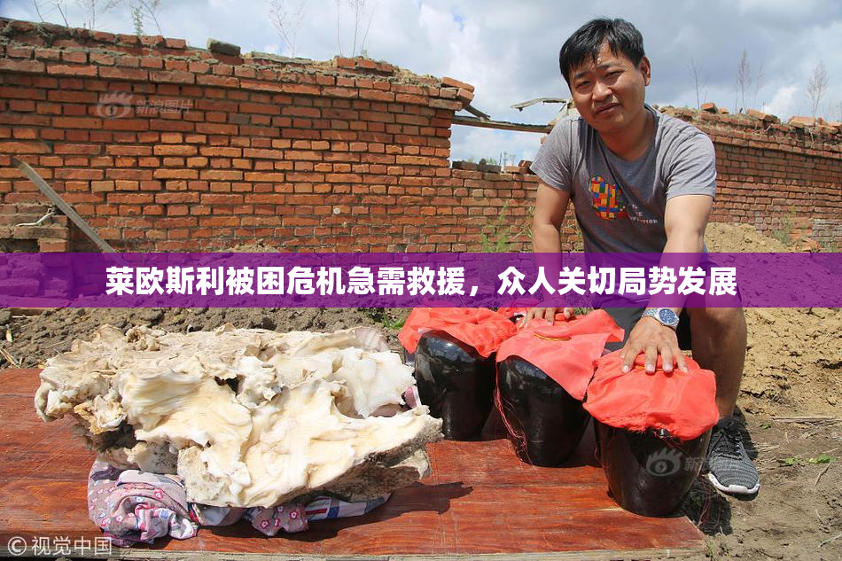 莱欧斯利被困危机急需救援，众人关切局势发展