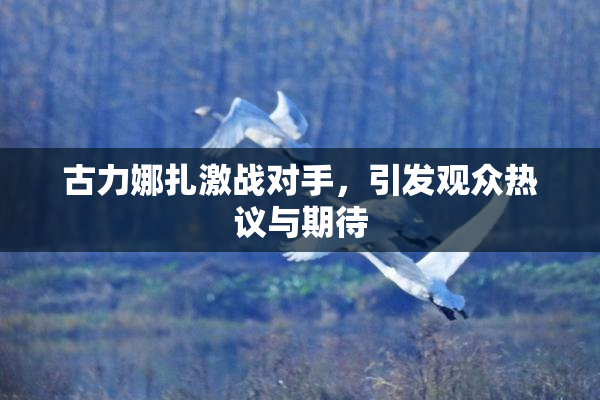 古力娜扎激战对手，引发观众热议与期待