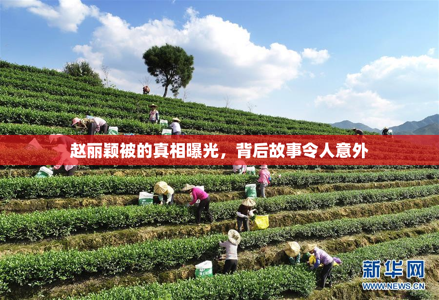 赵丽颖被的真相曝光，背后故事令人意外