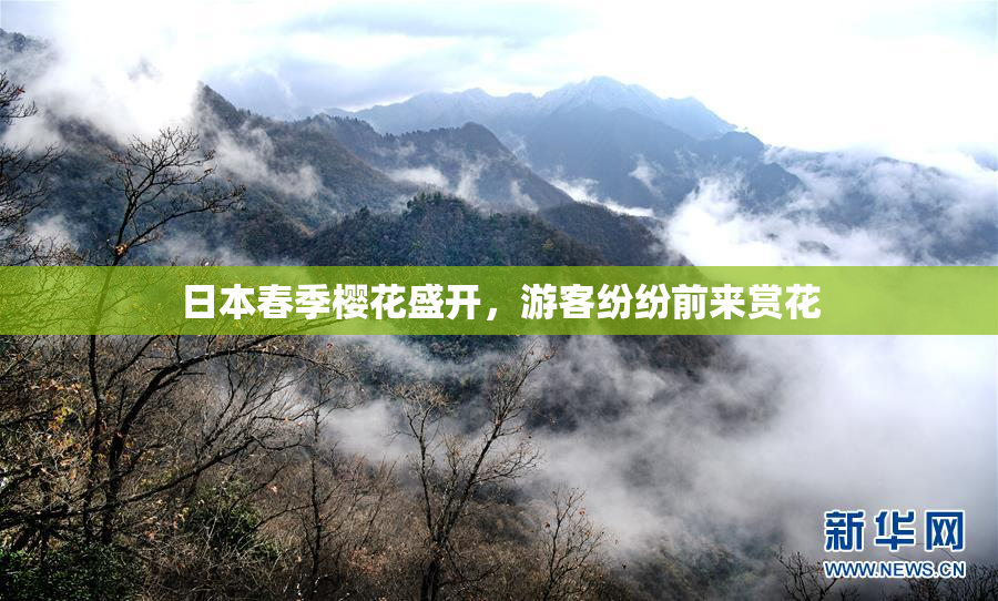日本春季樱花盛开，游客纷纷前来赏花