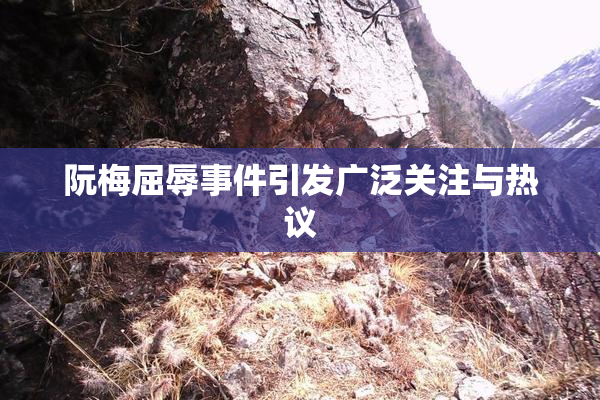 阮梅屈辱事件引发广泛关注与热议