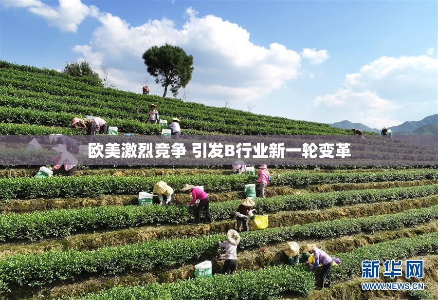 欧美激烈竞争 引发B行业新一轮变革