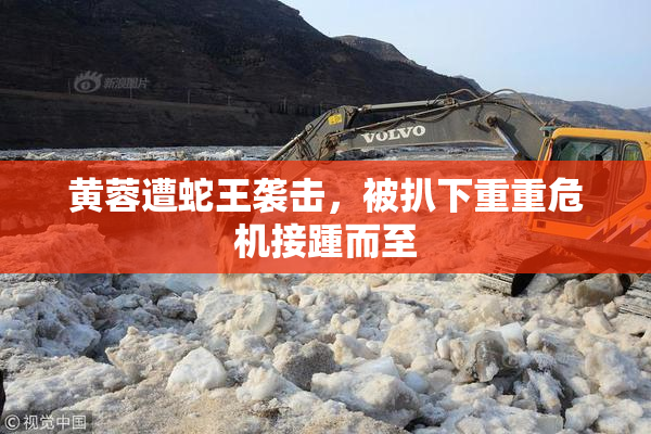 黄蓉遭蛇王袭击，被扒下重重危机接踵而至