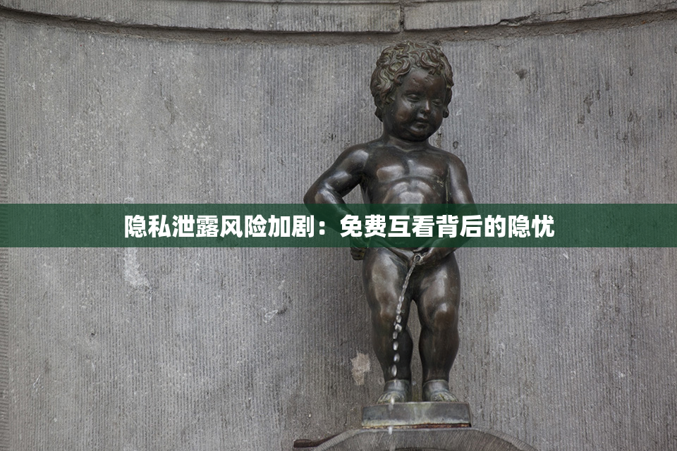 隐私泄露风险加剧：免费互看背后的隐忧
