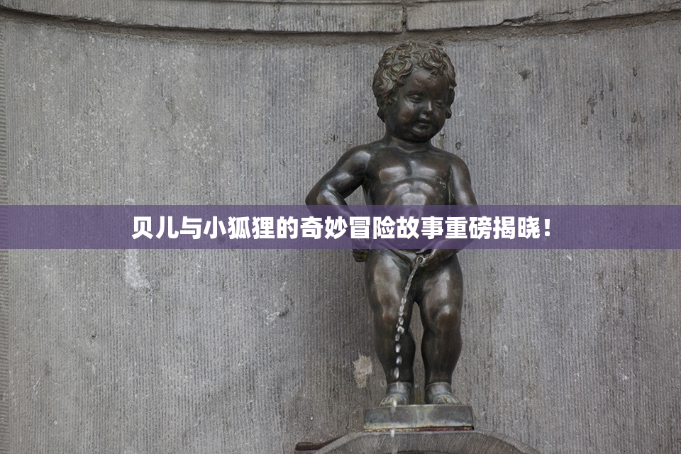 贝儿与小狐狸的奇妙冒险故事重磅揭晓！