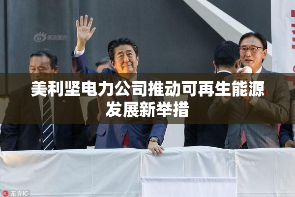 美利坚电力公司推动可再生能源发展新举措
