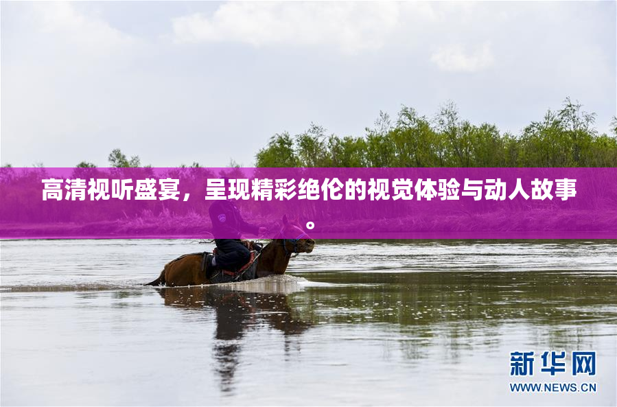 高清视听盛宴，呈现精彩绝伦的视觉体验与动人故事。