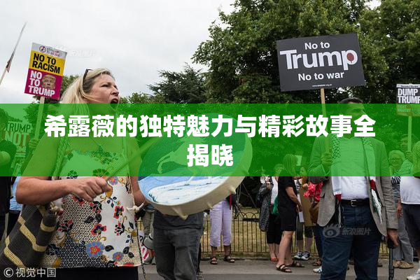 希露薇的独特魅力与精彩故事全揭晓