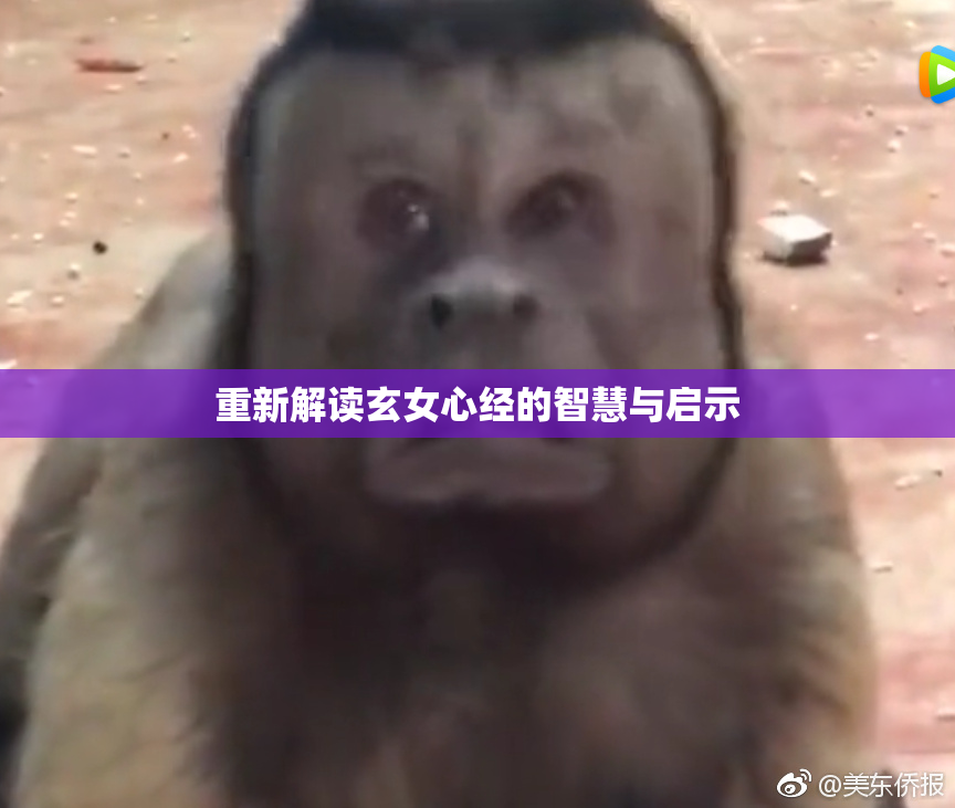 重新解读玄女心经的智慧与启示
