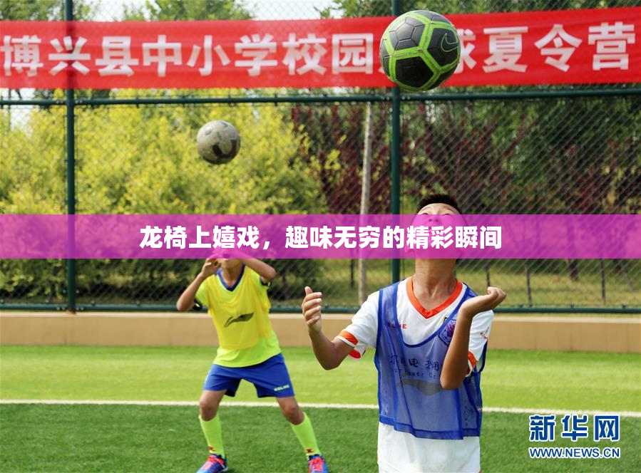 龙椅上嬉戏，趣味无穷的精彩瞬间
