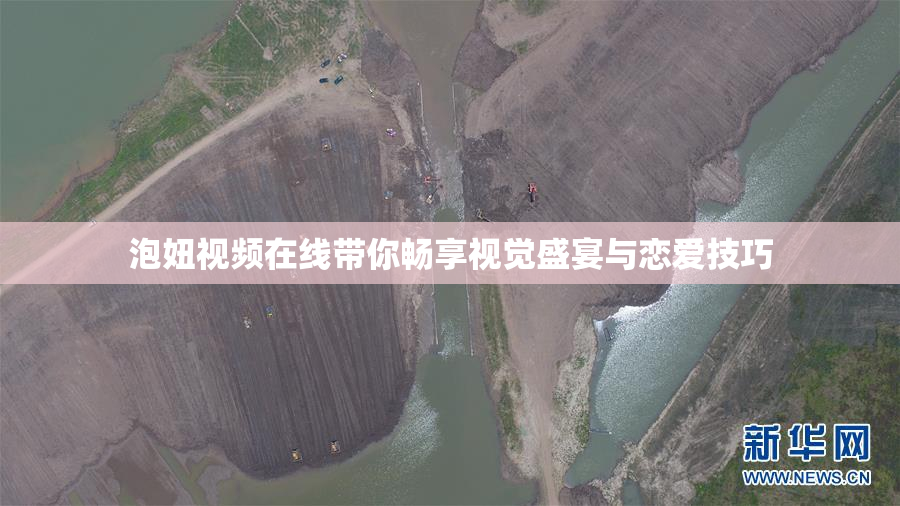 泡妞视频在线带你畅享视觉盛宴与恋爱技巧