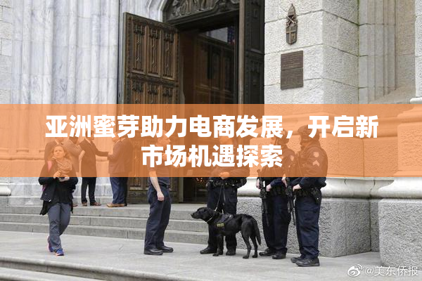 亚洲蜜芽助力电商发展，开启新市场机遇探索