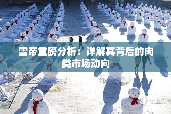 雪帝重磅分析：详解其背后的肉类市场动向