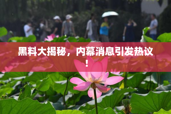 黑料大揭秘，内幕消息引发热议！