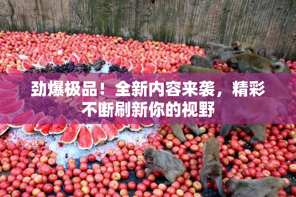 劲爆极品！全新内容来袭，精彩不断刷新你的视野
