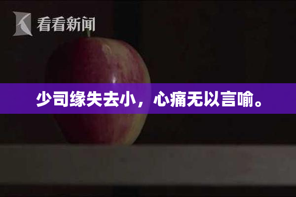 少司缘失去小，心痛无以言喻。