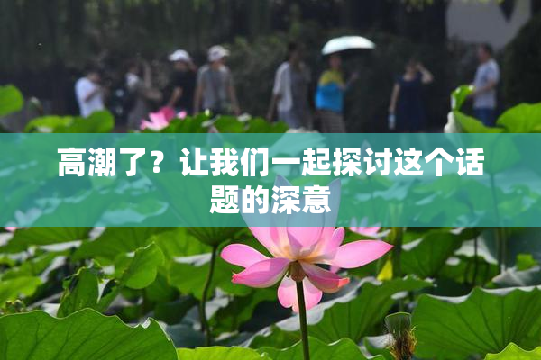 高潮了？让我们一起探讨这个话题的深意