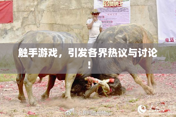 触手游戏，引发各界热议与讨论！